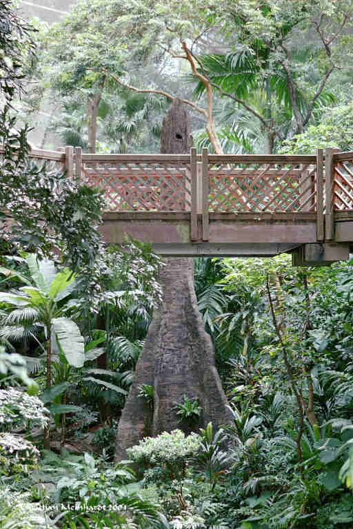 zwischen den B�umen